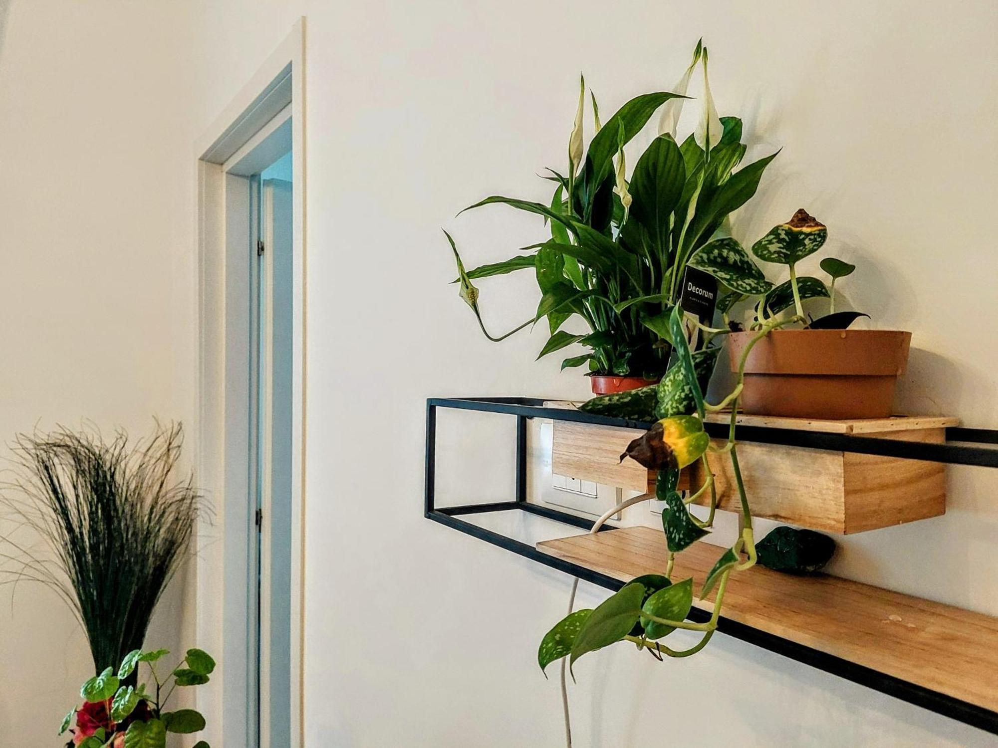 City Apartment - Il Ghiro فلورنس المظهر الخارجي الصورة